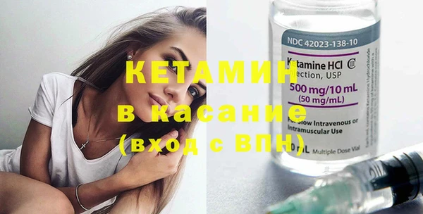 стафф Алексин