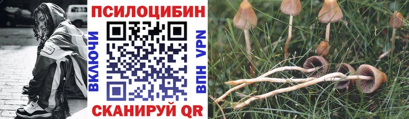 Псилоцибиновые грибы Magic Shrooms  Артёмовск 